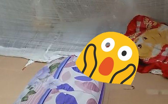 Trăng thanh gió mát ra hè nằm ngủ, cô gái hoảng hồn khi thấy thứ gì đó lạnh lạnh dưới chân