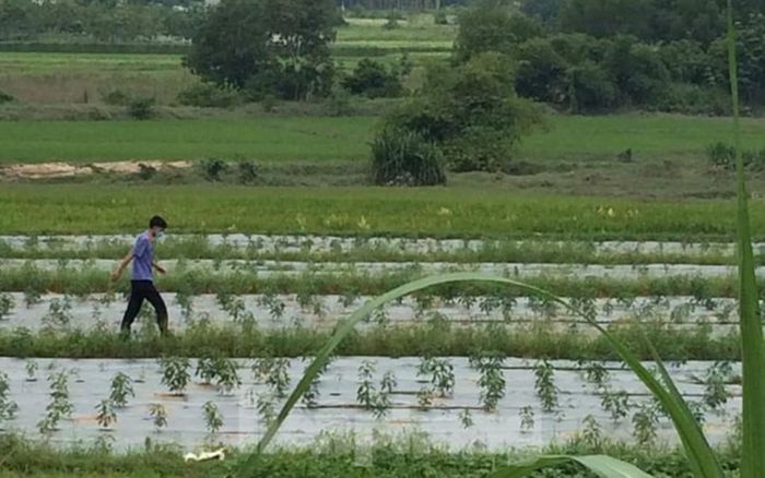 Bé trai 7 tuổi tử vong dưới suối sau 2 ngày mất tích khi đang chơi gần nhà