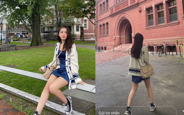Nghi vấn Chi Pu sang Mỹ du học ở Đại học Havard?