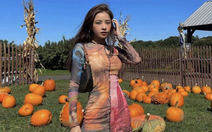 Chi Pu tiết lộ qua Mỹ du học, dân tình bỗng đồn đoán sang nhà bạn trai đại gia, thực hư thế nào?