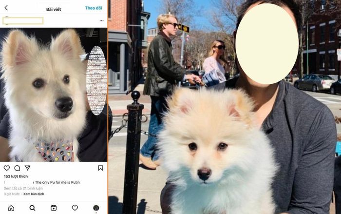 Giữa những đồn đoán tình cảm với nữ ca sĩ C.P, vị thiếu gia có động thái khó hiểu