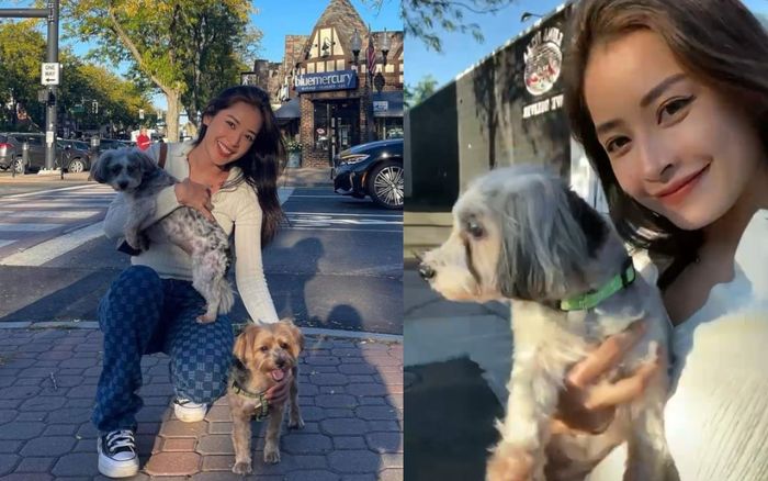 Chi Pu khoe loạt ảnh 'xinh xỉu' trên đất Mỹ, nào ngờ bị netizen soi chiếc bụng bất thường!