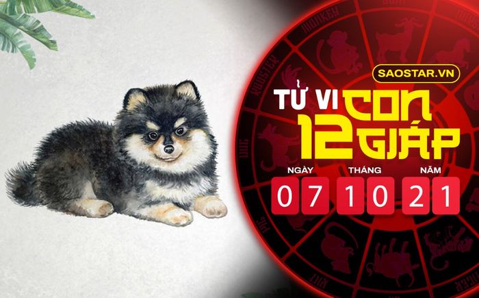 Tử vi hôm nay thứ 5 ngày 7/10/2021 của 12 con giáp: Tuất tài lộc kém, Hợi được quý nhân chiếu mệnh