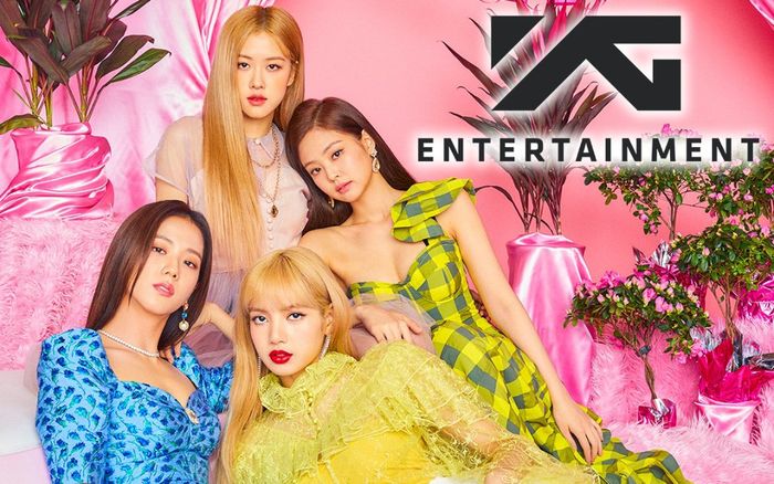 Fandom BlackPink Việt Nam bất mãn về cách làm việc của YG Entertainment: Mập mờ và thiếu chuyên nghiệp