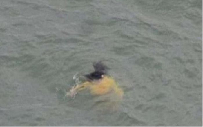 Lao xuống sông cứu cô gái đang chới với, ông lão đột nhiên bỏ mặc, lẩm bẩm quay lên bờ