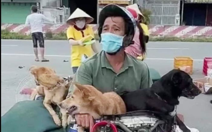 Vụ 15 chú chó bị tiêu hủy ở Cà Mau: Trưởng Trạm y tế xã xin nghỉ việc