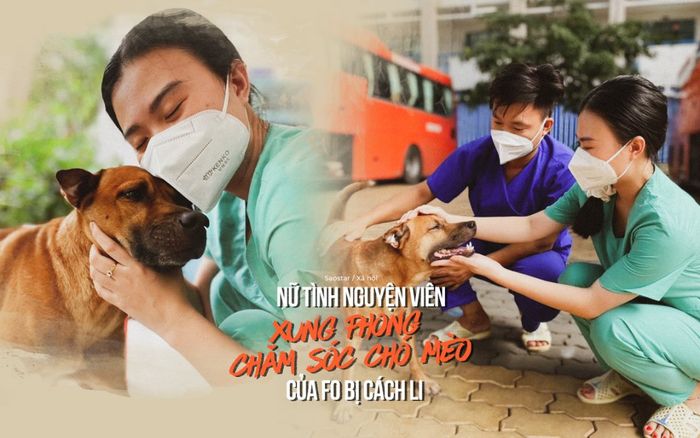 Nữ tình nguyện viên xung phong chăm sóc chó mèo của F0 bị cách li