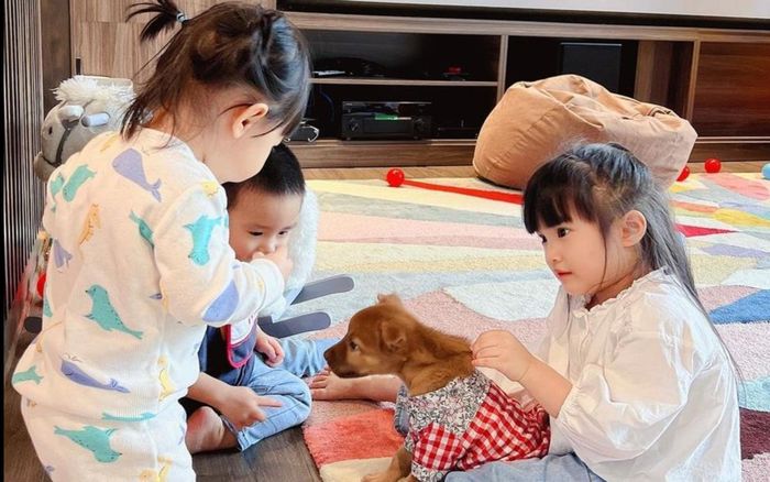 Cường Đô La bỗng trở thành 'chủ nhà trẻ' khi Diệp Lâm Anh dẫn con sang chơi