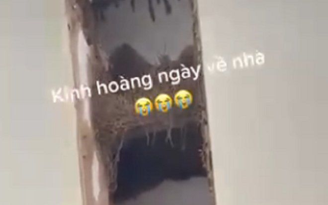 Đoạn clip vỏn vẹn 11 giây nhưng khiến nhiều người 'nổi da gà' với cảnh tượng trước mắt