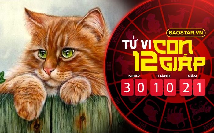 Tử vi hôm nay thứ 7 ngày 30/10/2021 của 12 con giáp: Mão tài vận sa sút, Mùi được quý nhân giúp đỡ