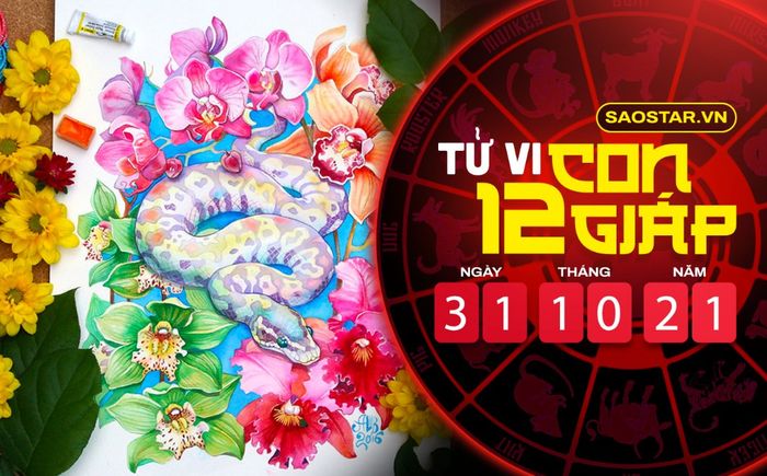 Tử vi hôm nay chủ nhật ngày 31/10/2021 của 12 con giáp: Tỵ gặp nhiều rắc rối, Hợi có một ngày may mắn