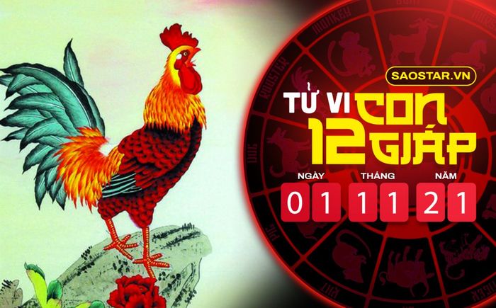 Tử vi hôm nay thứ 2 ngày 1/11/2021 của 12 con giáp: Dậu gặp nhiều may mắn, Hợi bị tiểu nhân chọc phá