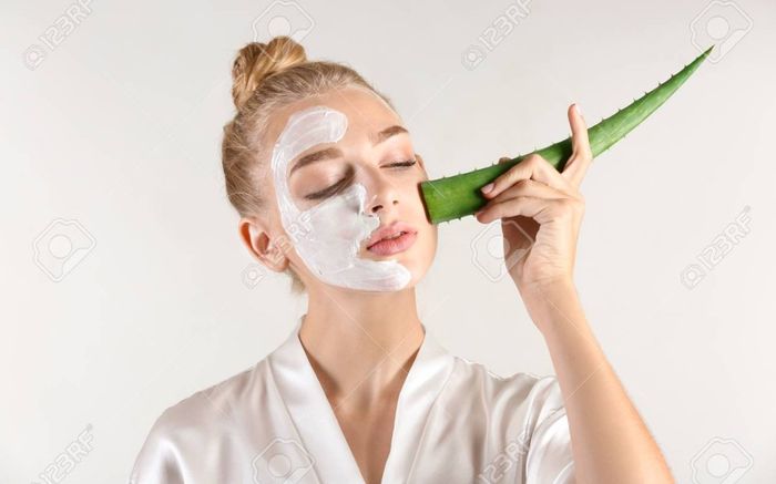 Top 10 sản phẩm skincare chiết xuất lô hội giúp làm dịu da và trị mụn hiệu quả