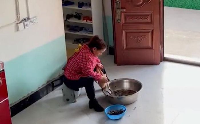 Đang vặt lông gà thì con dâu tương lai tới chơi, hành động 'quá đáng' của bà mẹ khiến dân tình bật cười