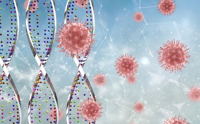 Phát hiện gen làm tăng gấp đôi nguy cơ suy phổi và tử vong do Covid-19