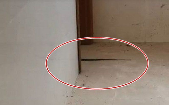 Vừa đặt cọc thuê nhà xong, chủ nhà tái mặt khi 'khách không mời' ghé thăm, đoạn kết khiến ai nấy kinh hãi