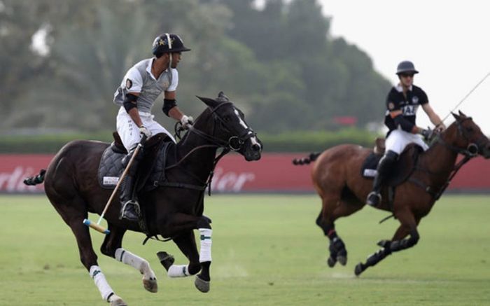 Top 10 sở thích phổ biến của những người giàu trên thế giới