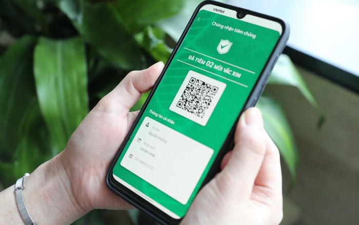 Cách tra cứu chứng nhận tiêm chủng Covid-19 trên điện thoại cực đơn giản
