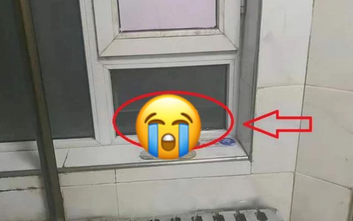 Vào phòng tắm ký túc xá, nữ sinh đỏ mặt hét toáng lên bỏ chạy khi thấy 'vật thể lạ'