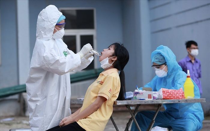 Ngày 24/11: Có 11.811 ca COVID-19; gần 26.000 bệnh nhân khỏi, gấp 2,5 lần số mắc mới