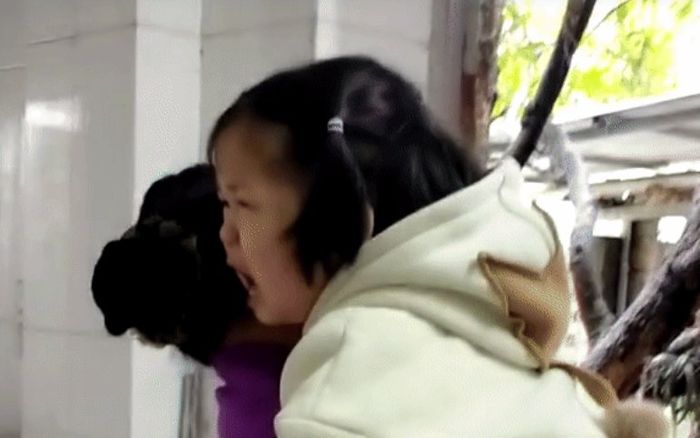 Ở với bà nội suốt mùa dịch, bé gái bật khóc không nỡ rời xa khi bố mẹ đón về khiến ai cũng xúc động