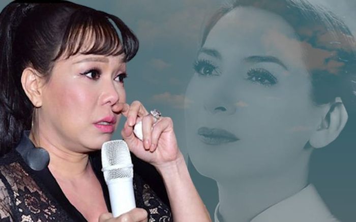 Việt Hương đáp trả cực căng khi bị rủa sẽ vào tù nếu Phi Nhung còn sống