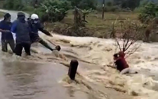 Clip: 'Đứng tim' cảnh giải cứu người phụ nữ bấu víu vào gốc cây giữa dòng lũ chảy xiết