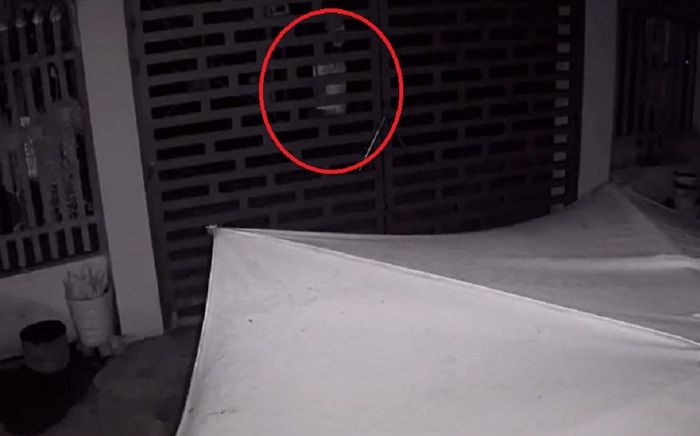 Nửa đêm nghe tiếng chó sủa, chủ nhà ra xem nhưng không có ai, kiểm tra camera lại được phen thất kinh