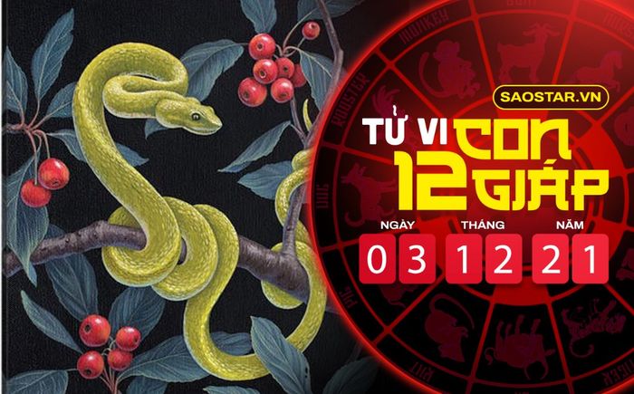 Tử vi hôm nay thứ 6 ngày 3/12/2021 của 12 con giáp: Tỵ tài lộc vượng phát, Tuất rơi xuống đáy vực sâu