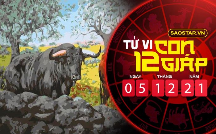 Tử vi hôm nay chủ nhật ngày 5/12/2021 của 12 con giáp: Sửu được cát tinh chiếu mệnh, Tỵ bận rộn