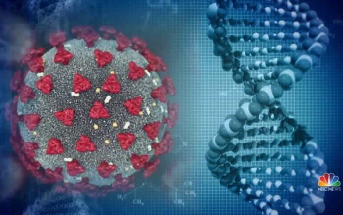 Phát hiện bất ngờ mới về biến thể Omicron liên quan tới virus cảm lạnh