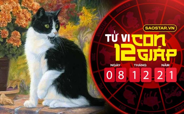 Tử vi hôm nay thứ 4 ngày 8/12/2021 của 12 con giáp: Mão được Thần Tài gõ cửa, Ngọ dễ cáu gắt