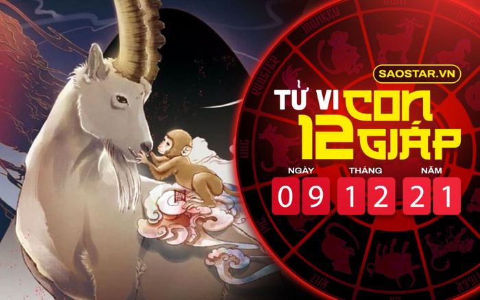 Tử vi hôm nay thứ 5 ngày 9/12/2021 của 12 con giáp: Mùi gặp nhiều thất bại, Hợi vượng vận đào hoa