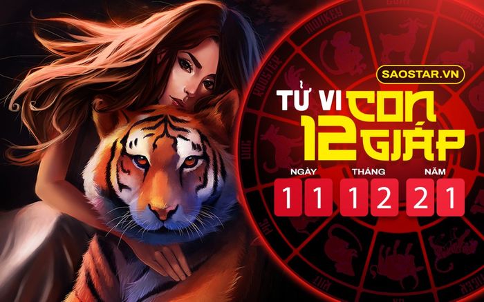 Tử vi hôm nay thứ 7 ngày 11/12/2021 của 12 con giáp: Dần được Thần Tài chiếu cố, Mùi bị hung tinh đeo bám