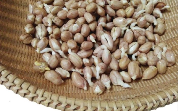 3 loại thực phẩm cứ mọc mầm là quý như vàng, được mệnh danh là 'thần dược'