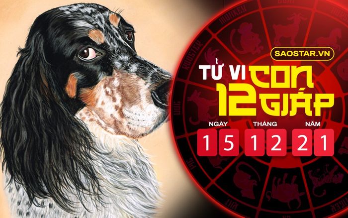 Tử vi hôm nay thứ 4 ngày 15/12/2021 của 12 con giáp: Sửu gặp nhiều rắc rối, Tuất chịu nhiều áp lực