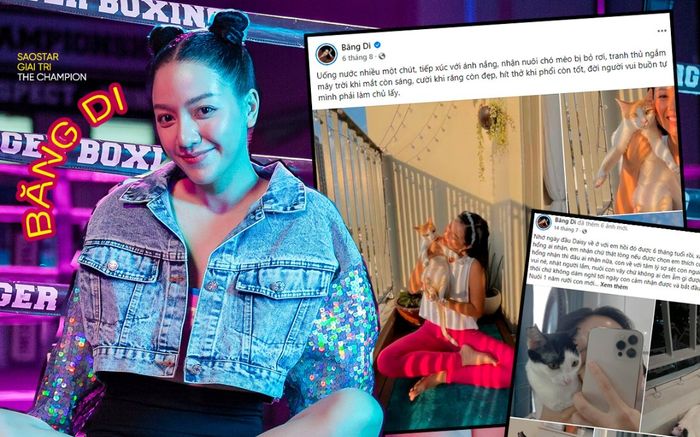 Băng Di và sở thích nuôi mèo bị bỏ rơi, tiết lộ dành toàn bộ tiền thưởng tại The Champion để làm từ thiện