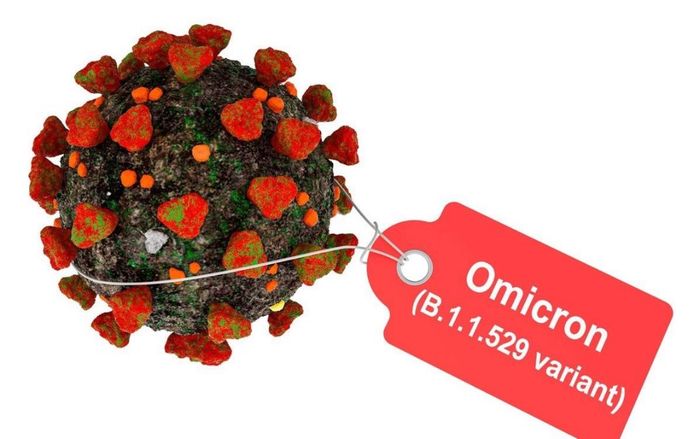 Phát hiện bất ngờ về biến thể Omicron trong đường thở và phổi
