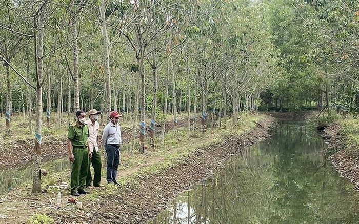 Rủ nhau đi chơi, 2 bé gái 9 tuổi ở Bình Phước tử vong dưới mương nước giữa rừng cao su