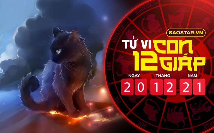 Tử vi hôm nay thứ 2 ngày 20/12/2021 của 12 con giáp: Mão gặp nhiều xui xẻo, Hợi có tài lộc đáng ghen tị