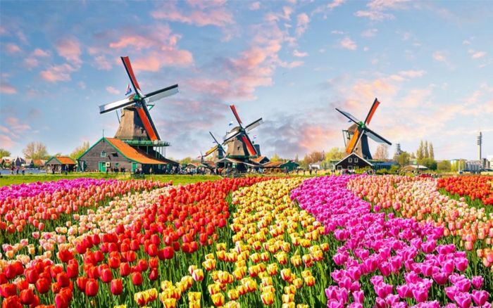 Top những công viên phủ xanh hoa lá đẹp mê hồn trong những đô thị ồn ào, khói bụi