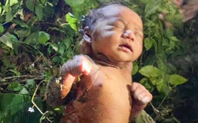 Dân làng phát hiện bé gái đỏ hỏn bị vứt trong rừng, cảnh tượng trước mắt khiến ai cũng ám ảnh