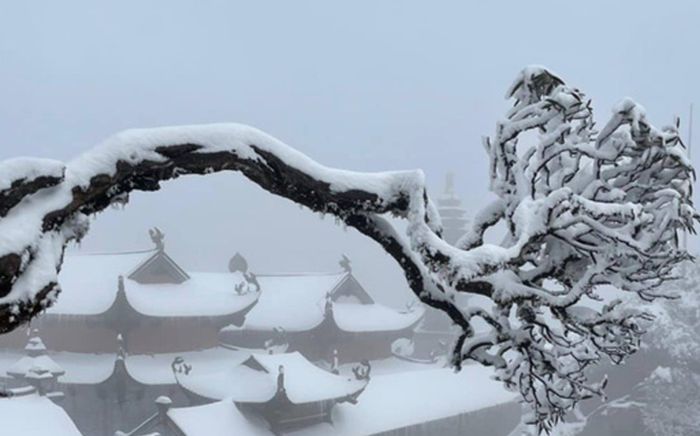 Sa Pa ngập tuyết trắng, dân tình kéo nhau đi ngắm nhưng lại nhận 'trái đắng'