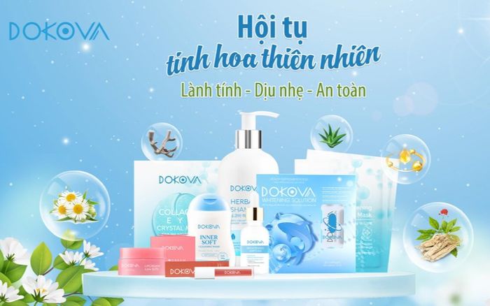 Dokova bạn đồng hành không thể thiếu của phái đẹp