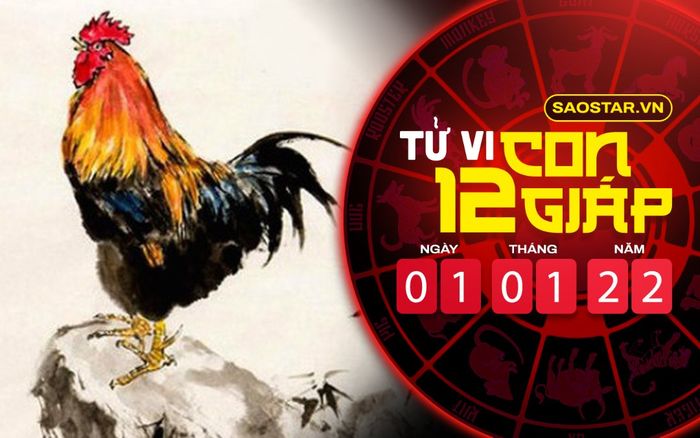 Tử vi hôm nay thứ 7 ngày 1/1/2022 của 12 con giáp: Mùi tài vận kém, Dậu gặp nhiều may mắn