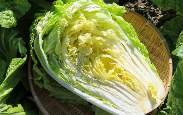 Tại sao nói 'trăm loài rau không bằng cải thảo'?