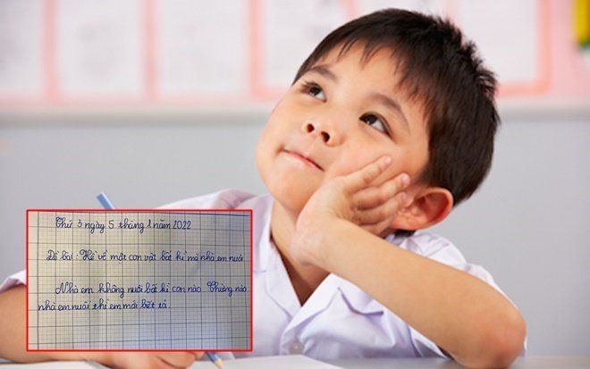 Học sinh tiểu học viết vỏn vẹn 2 câu trong bài văn tả con vật, giáo viên đọc xong mà lắc đầu chịu thua