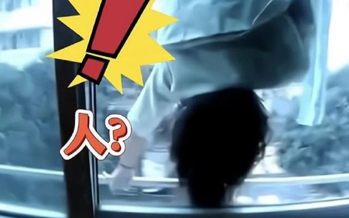 Sáng sớm nhìn qua cửa sổ tầng 3, người phụ nữ bị dọa sợ 'mất mật', báo ngay cảnh sát khi thấy cảnh này