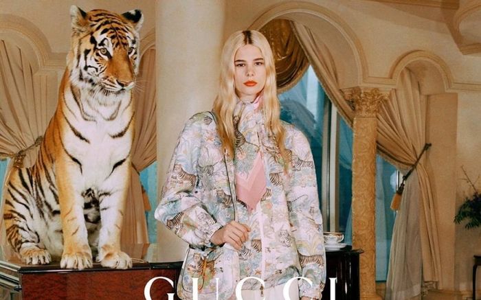 Quảng cáo năm mới của Gucci có nguy cơ bị gỡ vì sử dụng hổ thật