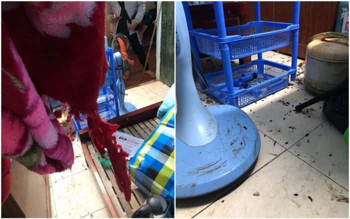 Trở lại thành phố sau thời gian dài tránh dịch, nam sinh 'khóc thét' khi thấy cảnh tượng trong phòng trọ